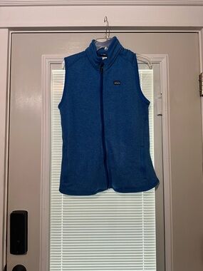 Patagonia Blue Fleece Vest